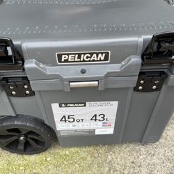 Cooler Pelican
