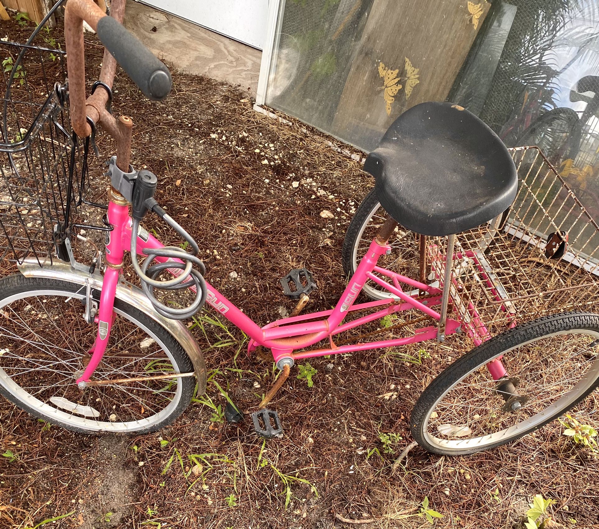 Miami Sun Adults 3 Wheel Bicycle