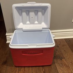 Summer Picnic Or Beach Cooler 