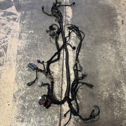 Harley Dyna Wiring Harness 