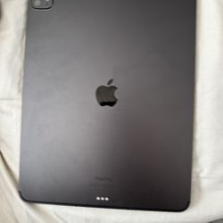 Apple 13 Inch iPad M4
