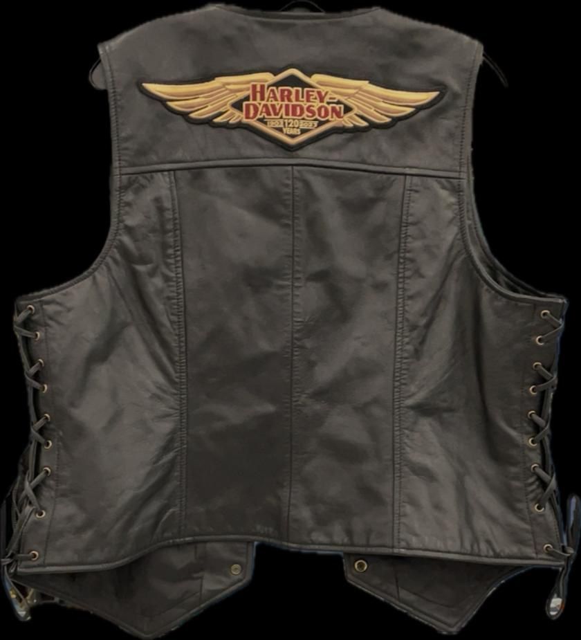 Harley Davidson Best
