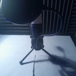 Microphone