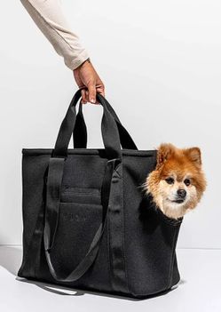 Wild One Everyday Dog Carrier Tote Black
