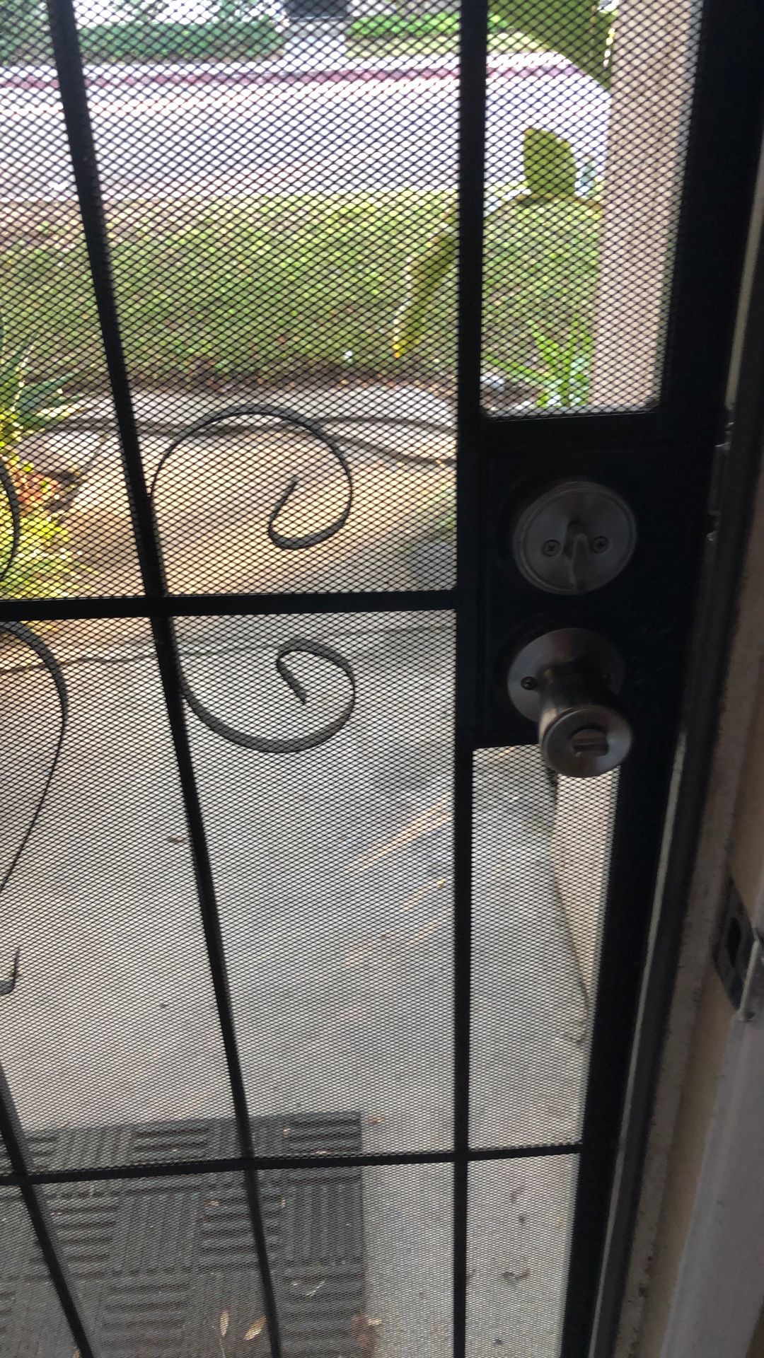 Security Screen Door