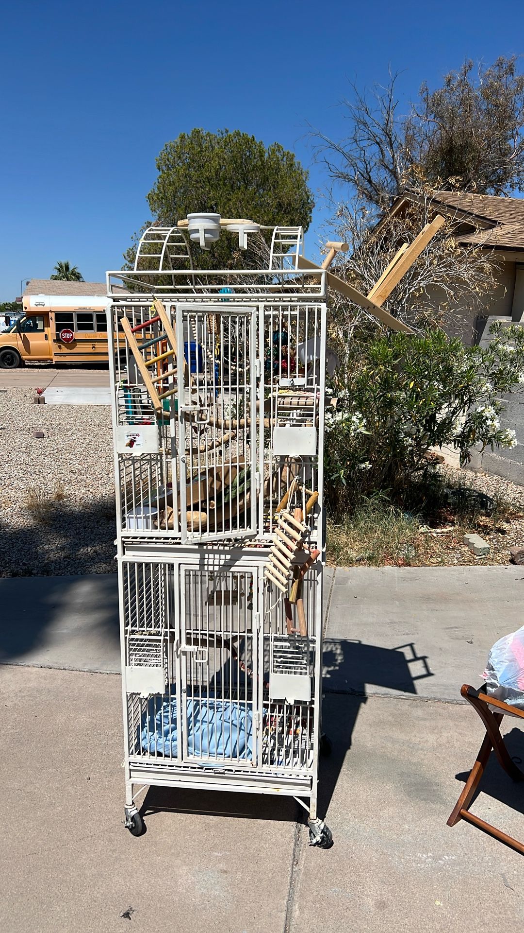 Bird Cage