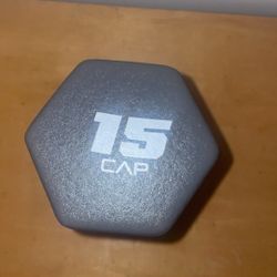 15 LB Dumbbell 