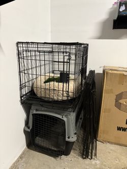 Dog Crates
