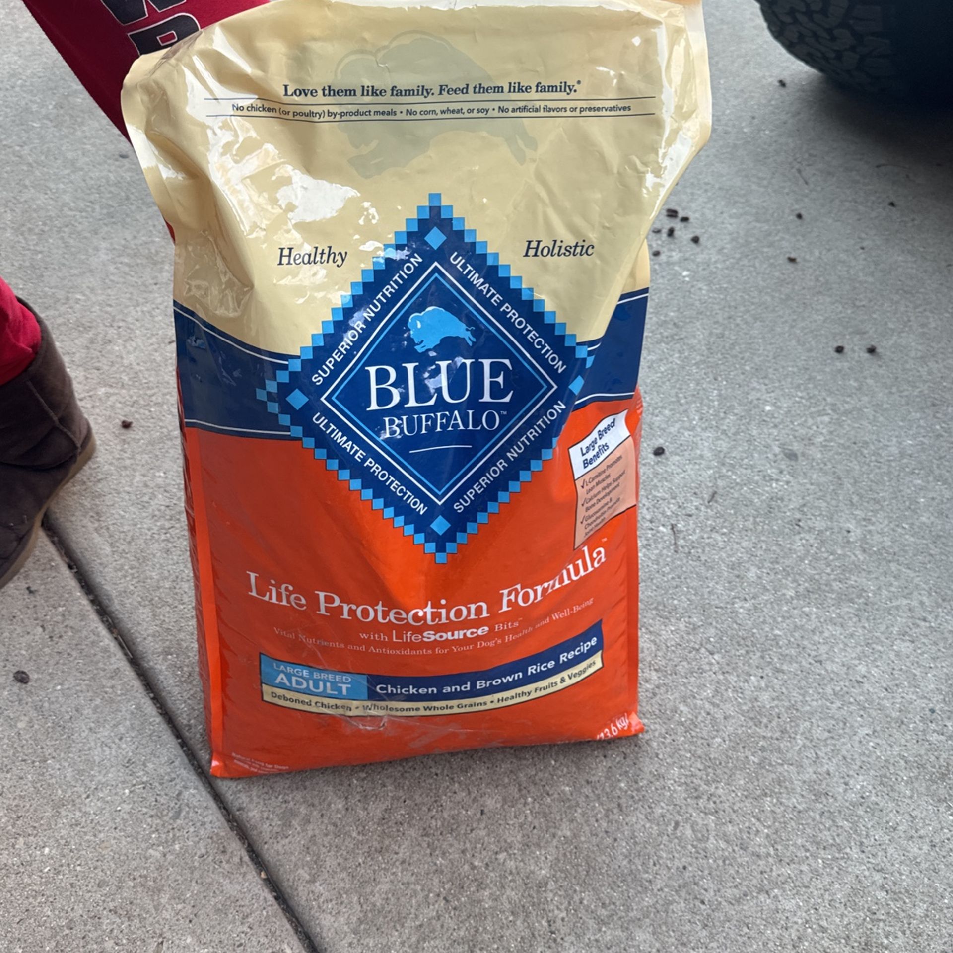 Dog Food 