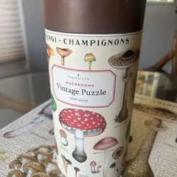 Mushroom 🍄 Puzzle 🧩 