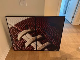 Large 2 piece canvases