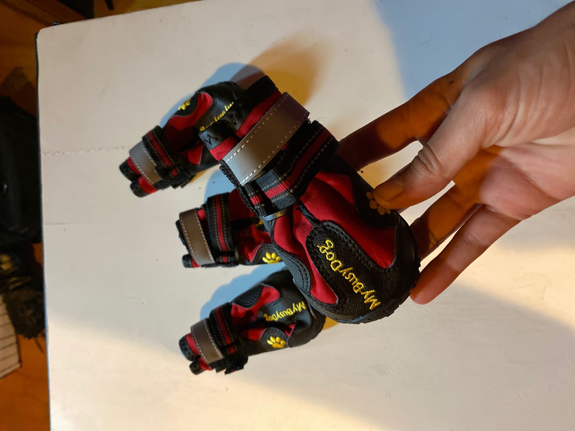 Dog boots