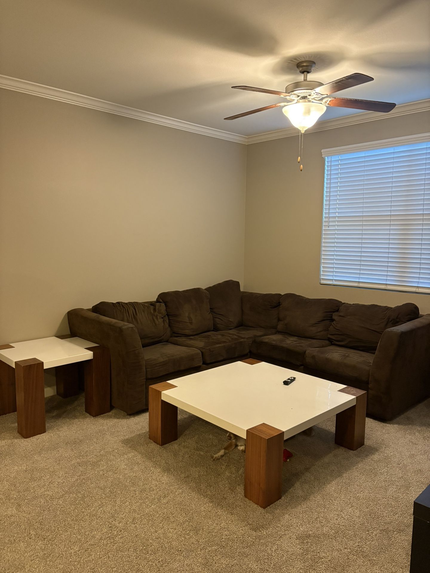 Sectional couch