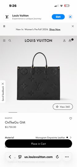 Louis Vuitton Bag and matching wallet