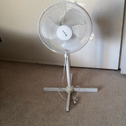 Oscillating Standup Fan