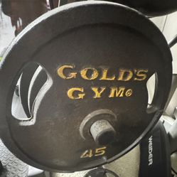 Two 45 Golds Gym Weights And Long Bar