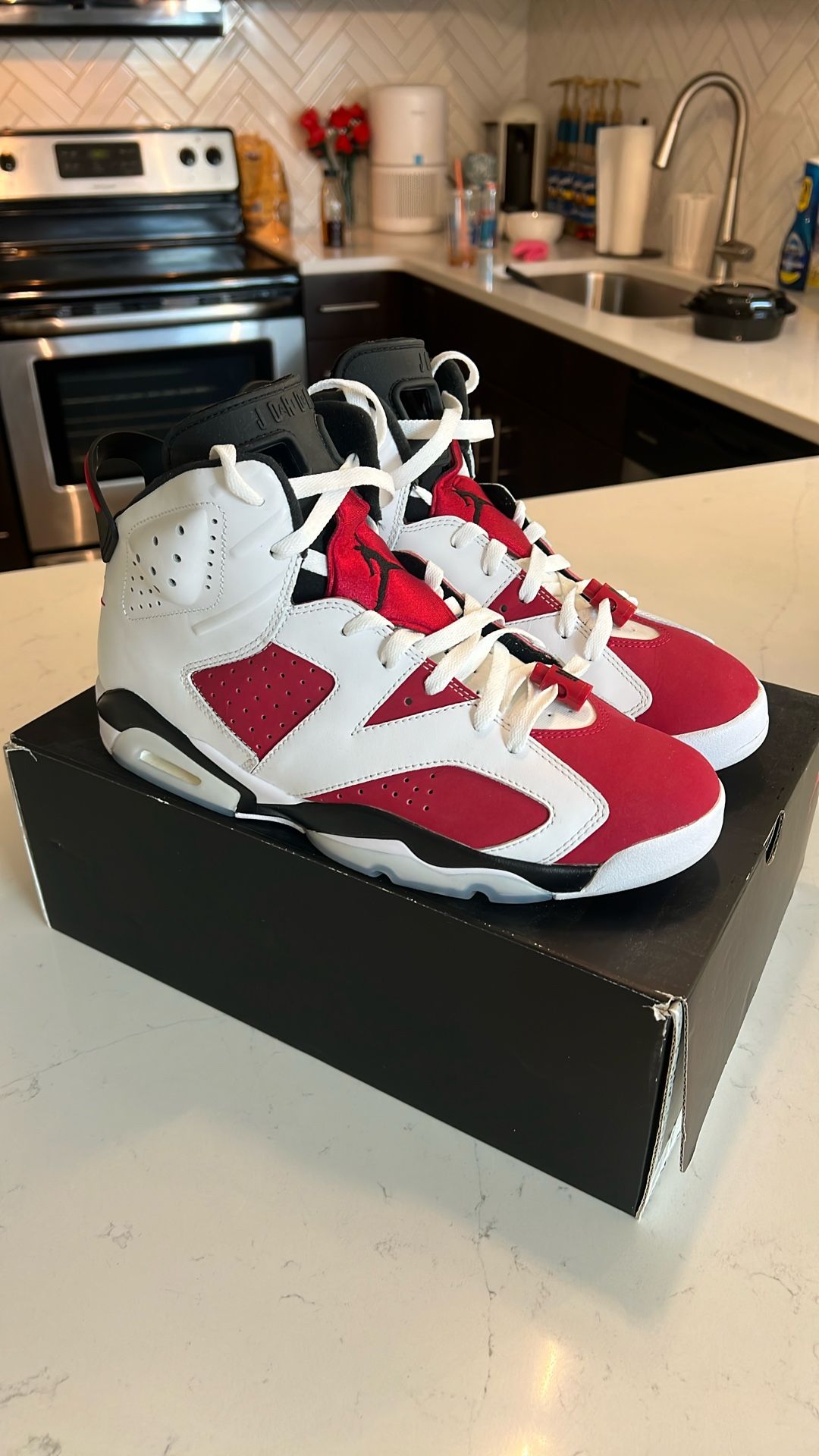 Jordan 6 Carmine