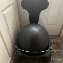 Balance Ball Chair 