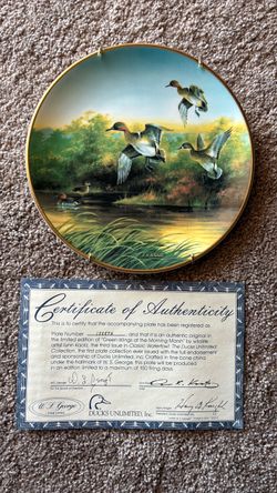 Collectible 1 of 9 “Green WIngs at Morning Marsh”