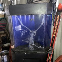 Custom 65 Gal Acrylic Corner Tank With Overflow And Filtration Built In