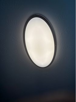 Led flush mount ceiling fixture oval 32”