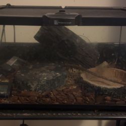 Small Tank 