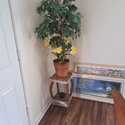 Stand And Tree