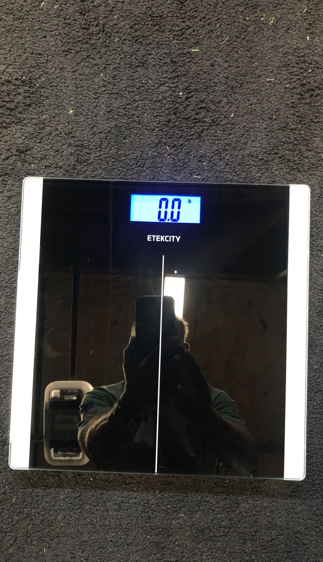 Digital bathroom scale