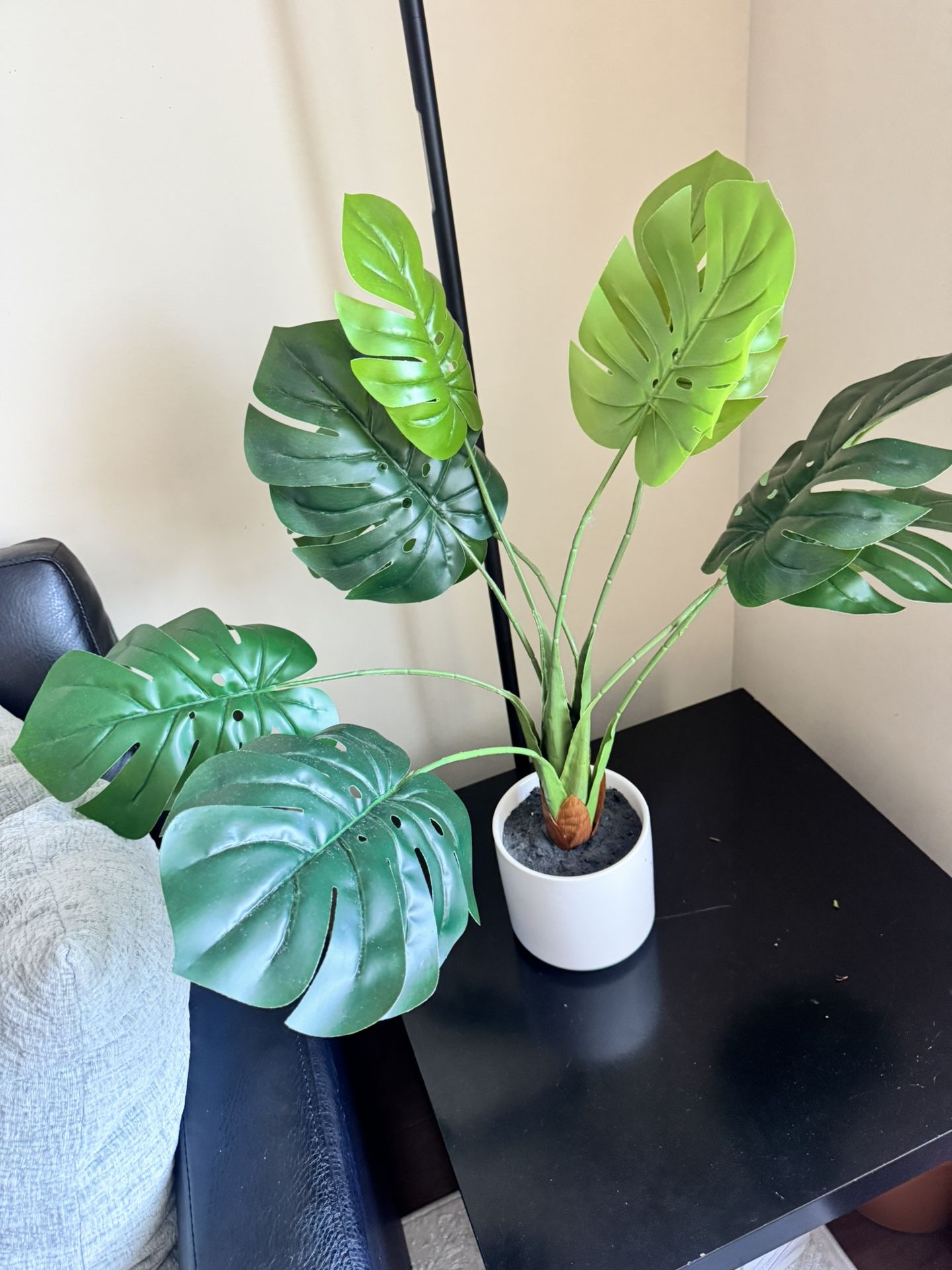 Fake Green Plant