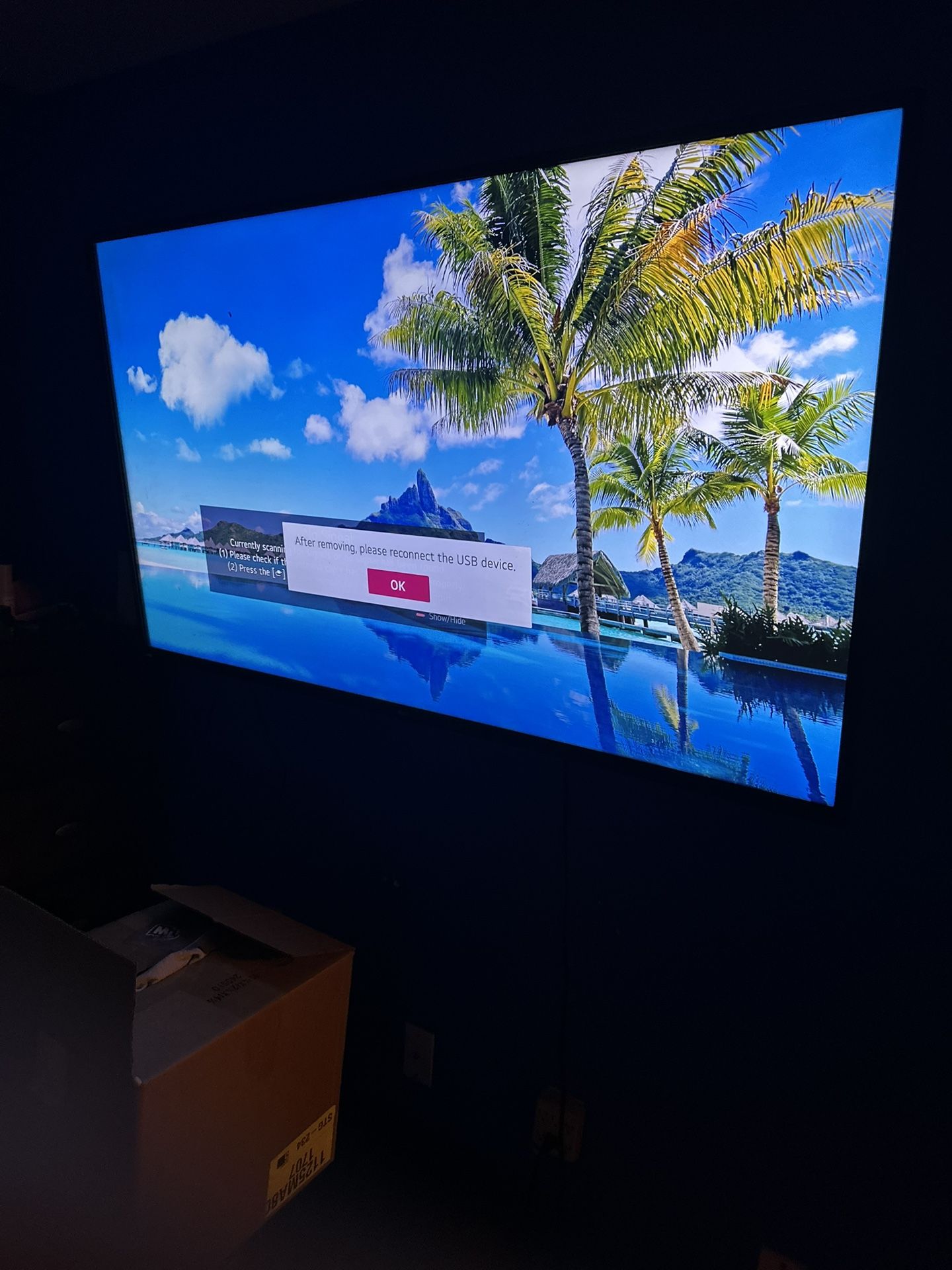 Lg Tv 65 Inch