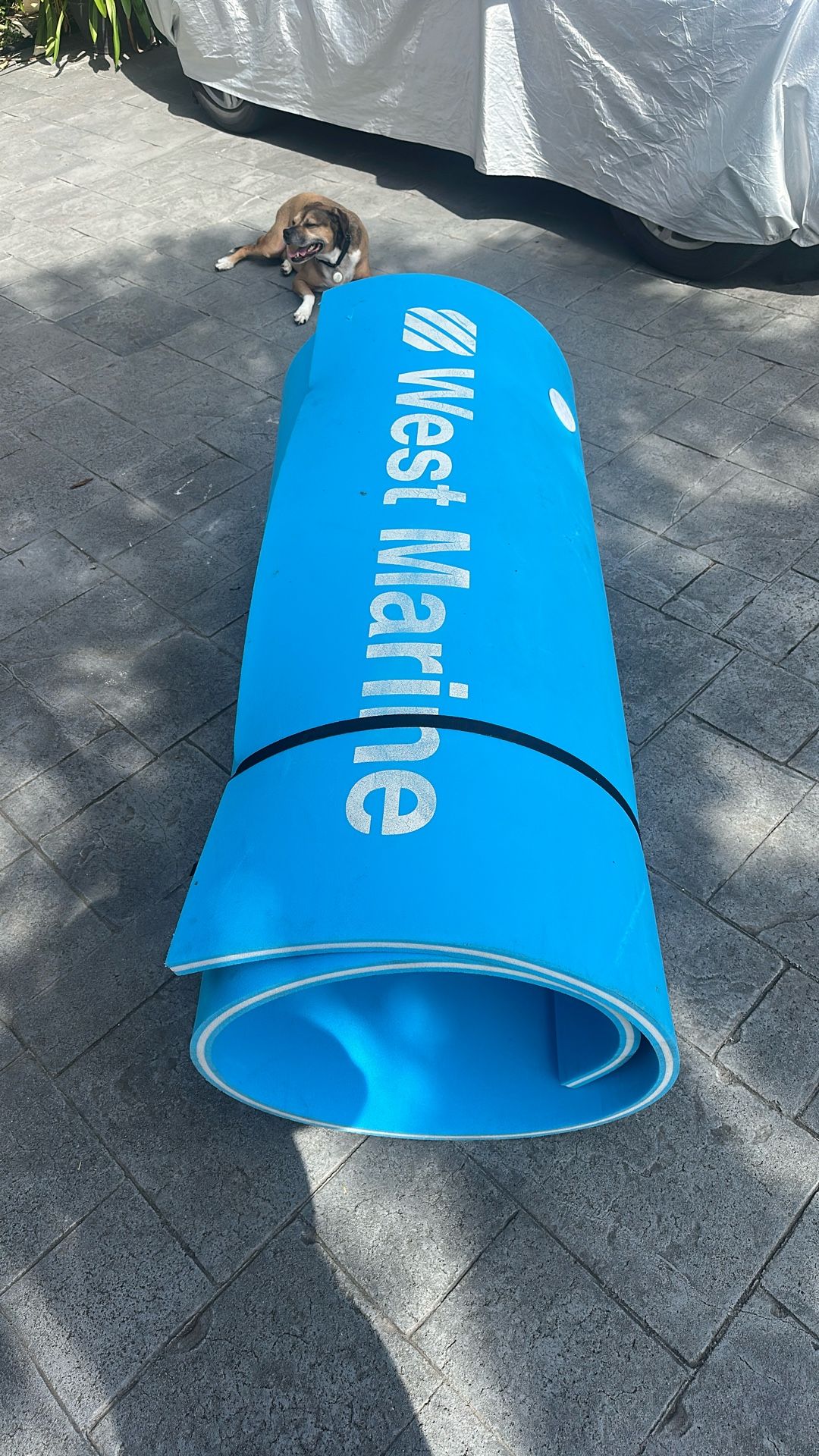Three-Layer Water Carpet, 9' x 5 1/2'