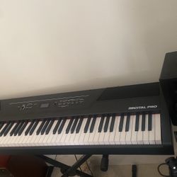 Electric Keyboard