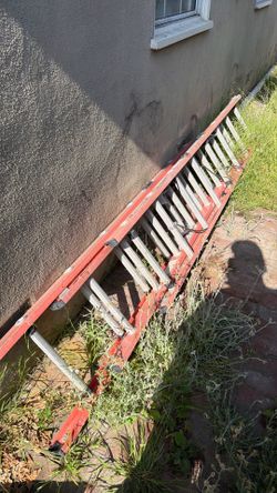 Ladder 10$