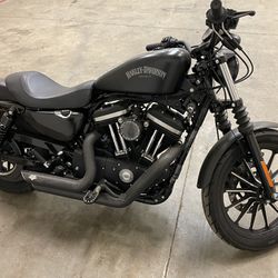 2015 Harley Davidson Iron