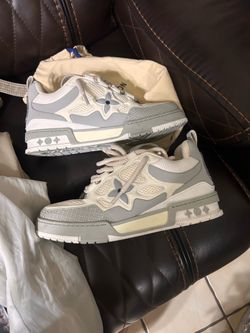 Louis Vuitton skates shoes