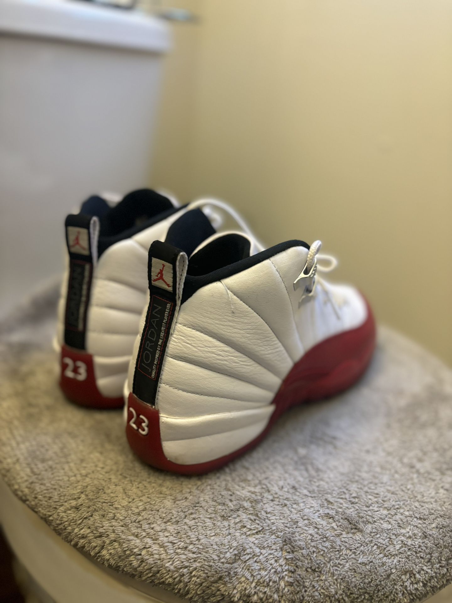 Jordan Cherry 12s