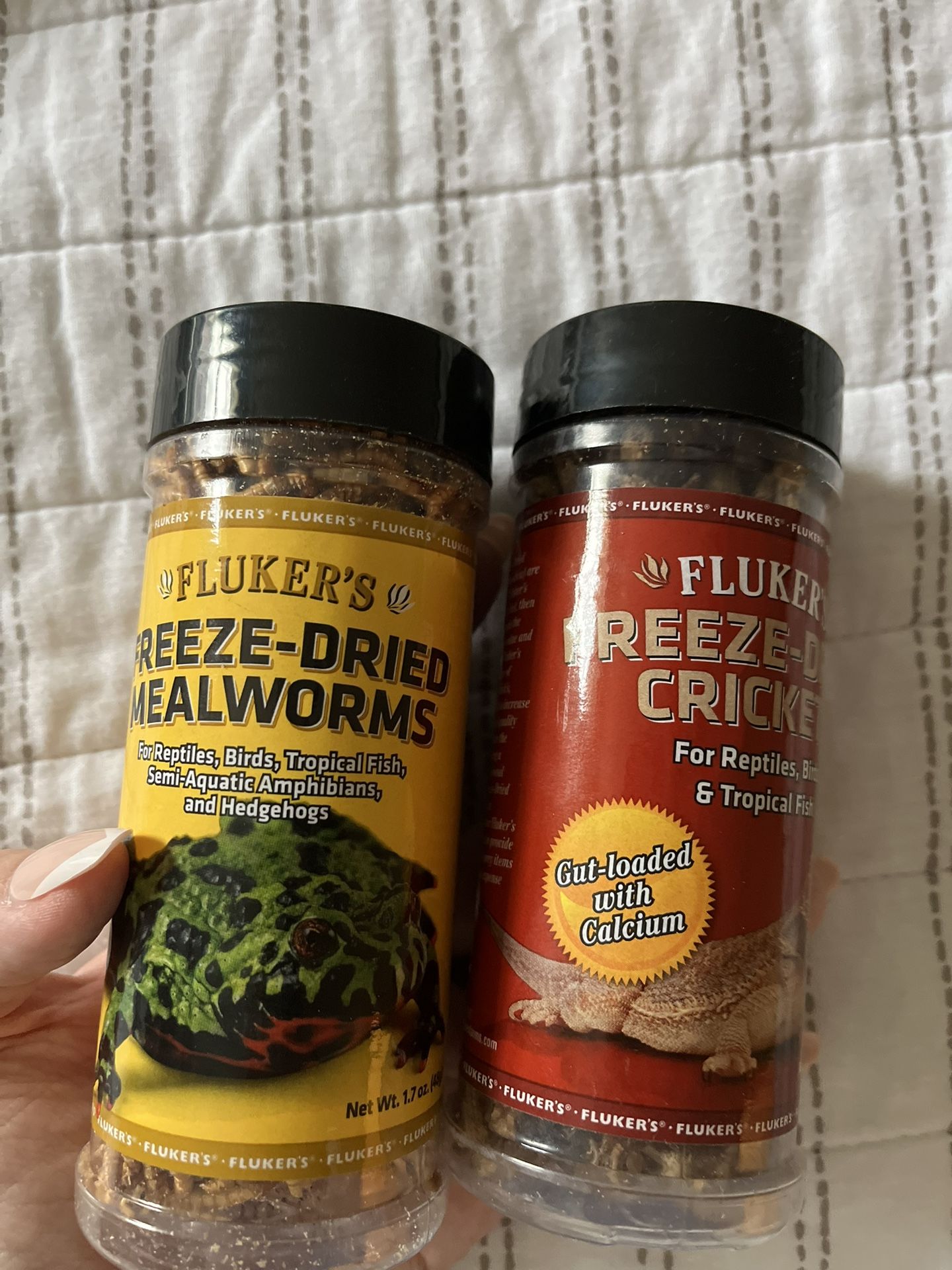 Freeze Dried, Mealworms And Crickets