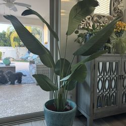 Artificial Plant & Pot