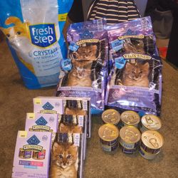 Blue Buffalo Kitten Bundle 