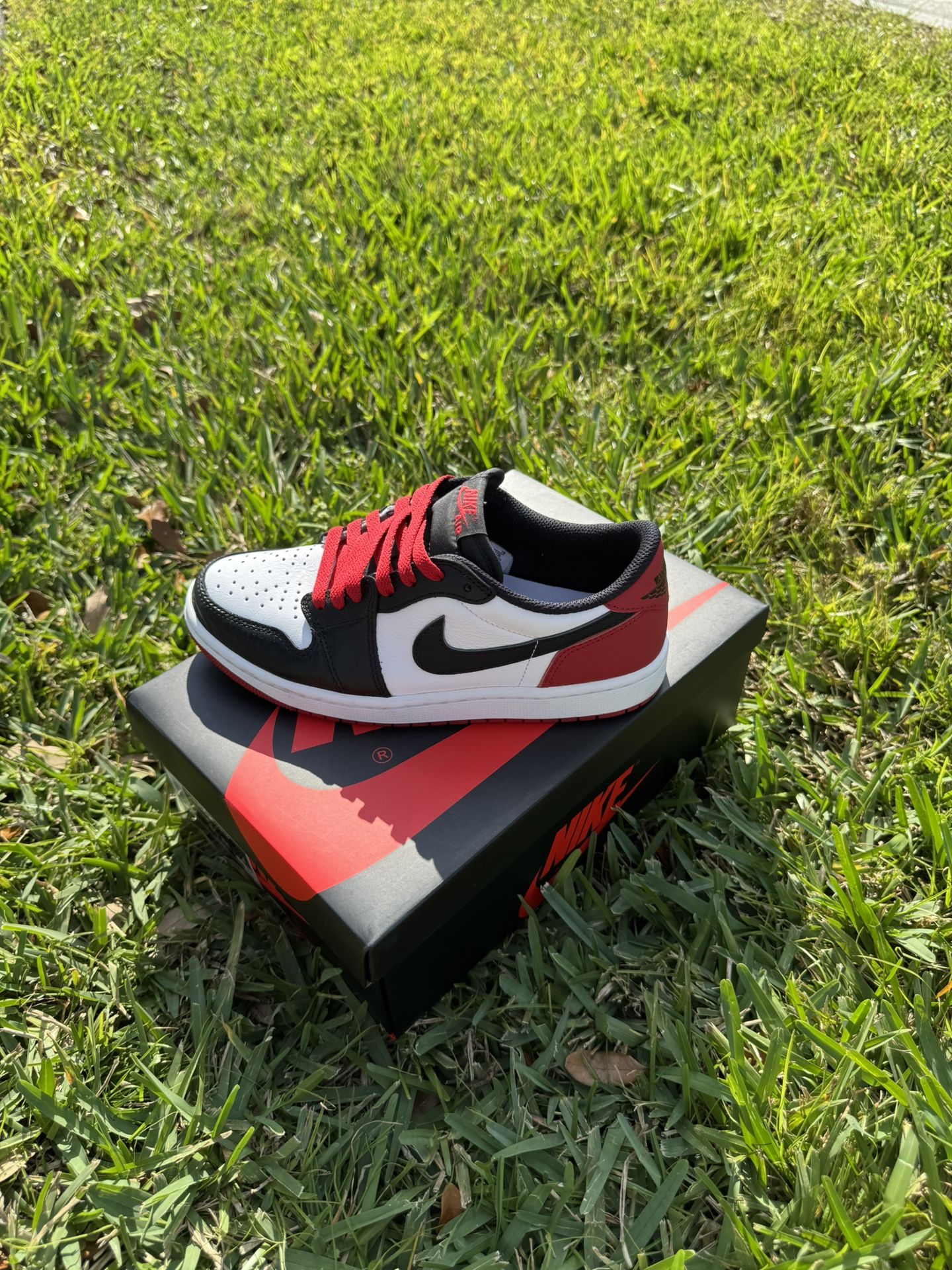 Jordan 1 Lows