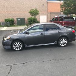 Toyota Corolla 2010