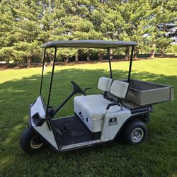 Exgo Golf Cart 36 Volt  And Charger 1600