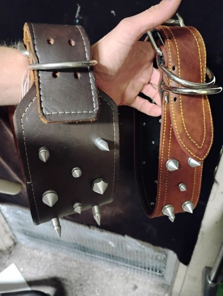 Leather Spike Collars