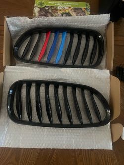 BMW Grill