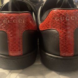 Gucci Sneakers Size 11