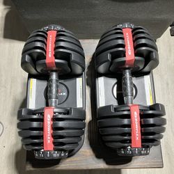 Bowflex SelectTech 552 Dumbbells 