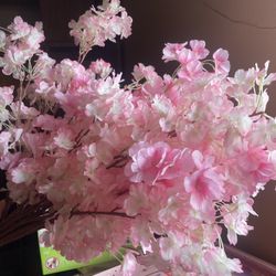 9 Blossom Decoration Flowers 