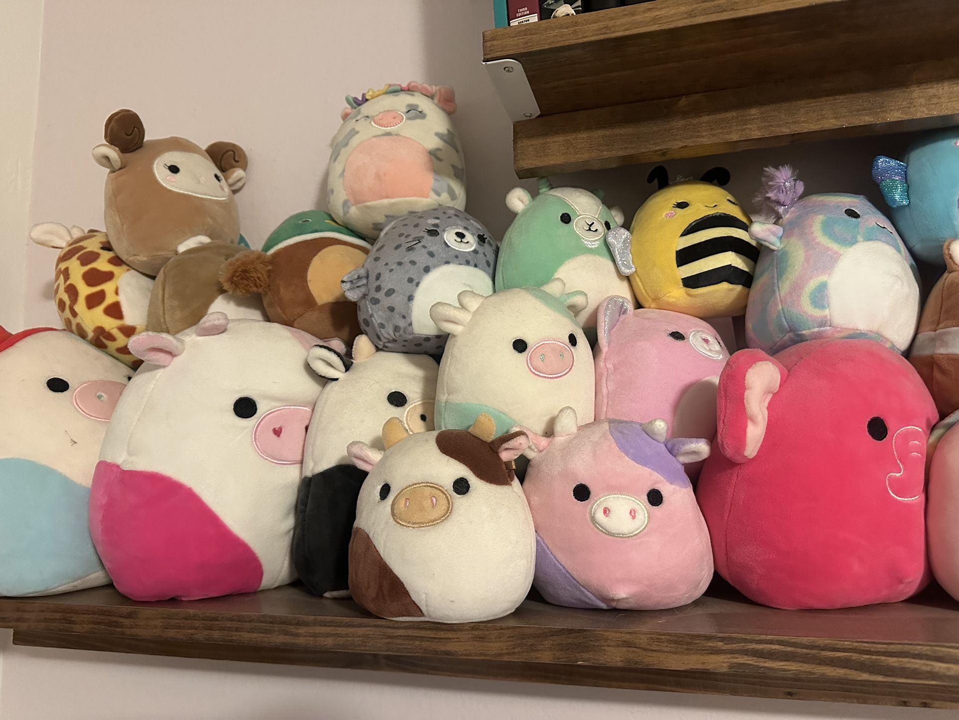 Squishmallows!