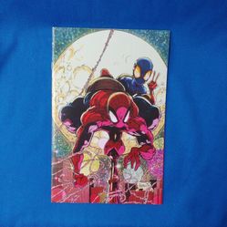 Spider Boy #1 Andrews Virgin Exclusive Cover