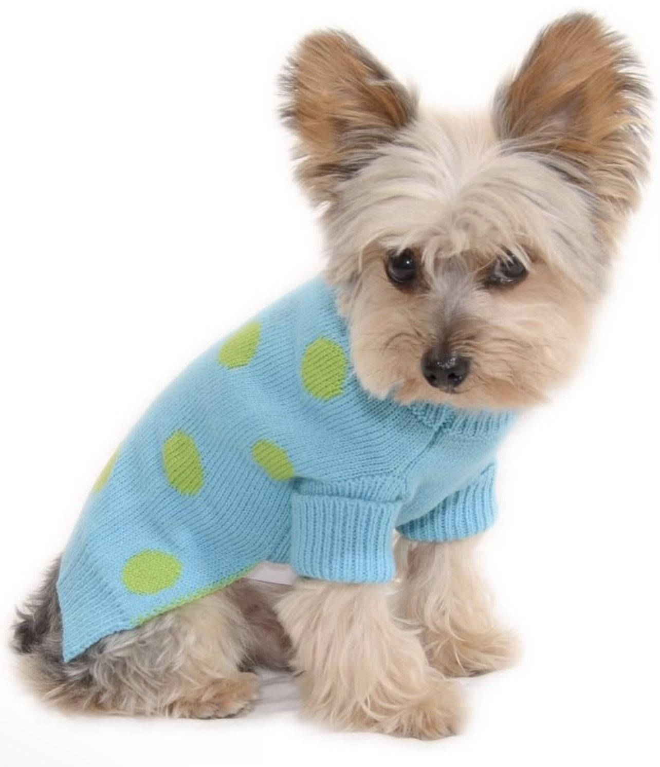 BRAND NEW Aqua Blue Polka Dot Dog Sweater Size #12